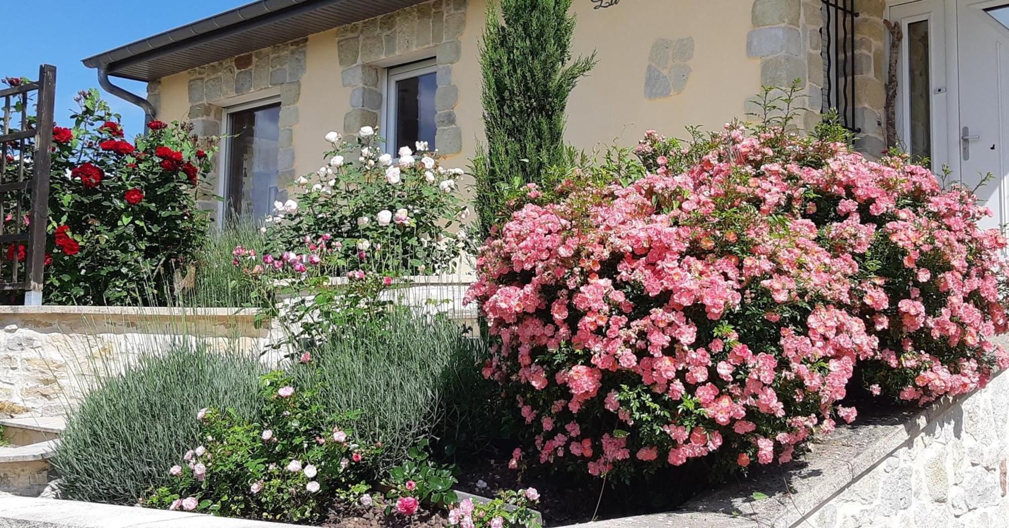 La Villanelle Maison D'Hotes Pelousey Exterior foto